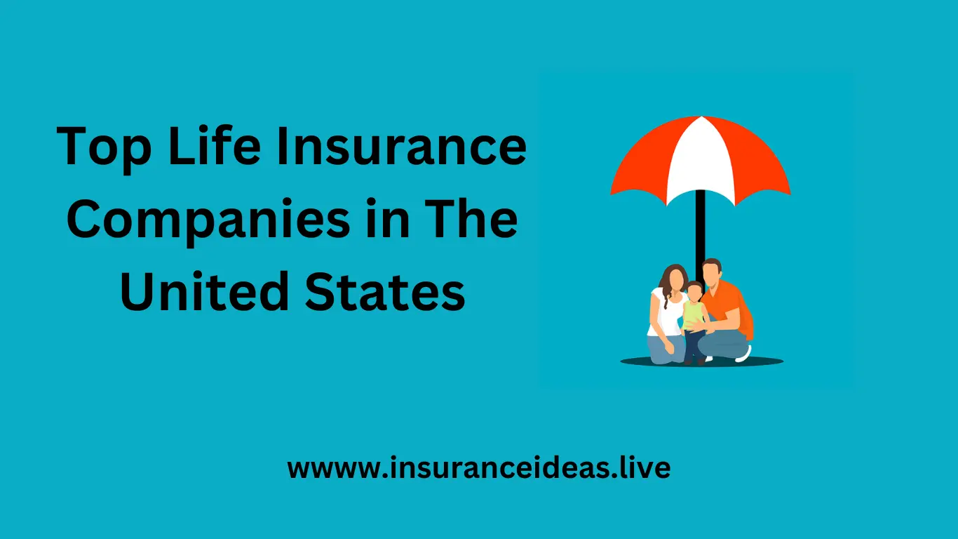 Top Life Insurance Companies in the United States in 2024